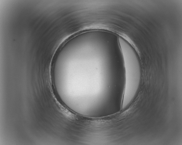 X0000062620988200512281525