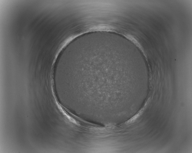 X0000062620989200512281525