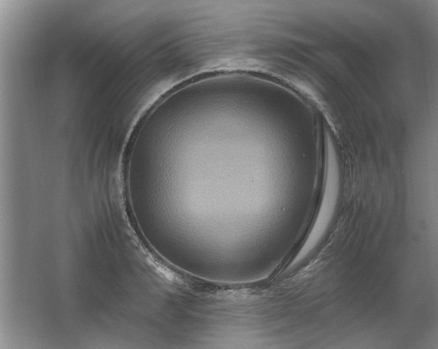 X0000062620990200512281525