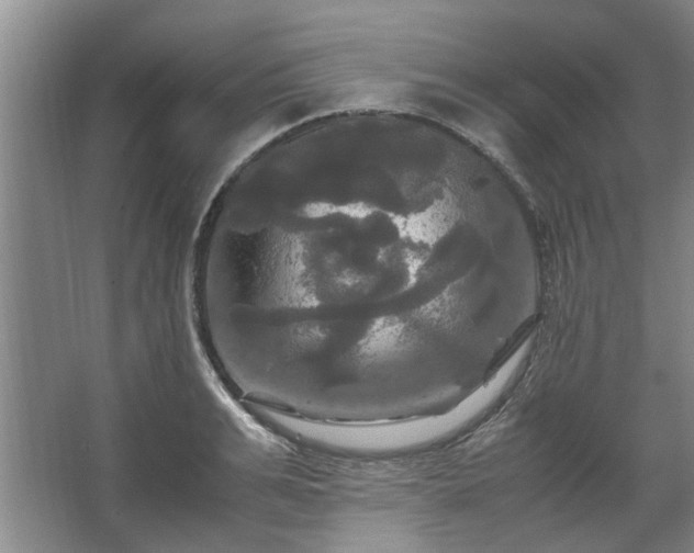 X0000062620991200512281525