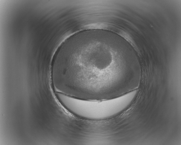 X0000062620992200512281525