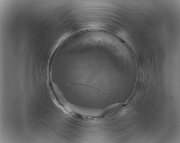 X0000062620994200512281525