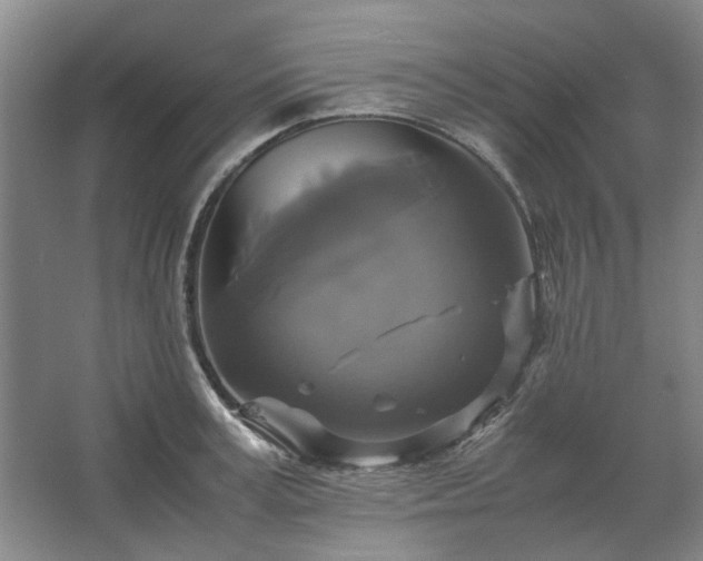 X0000062620995200512281525