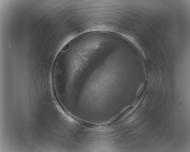 X0000062620998200512281525