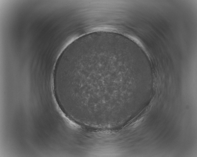 X0000062620999200512281524