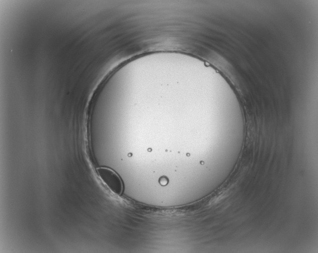 X0000062621000200512281524