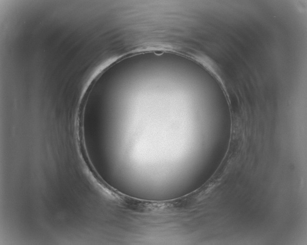 X0000062621003200512281524