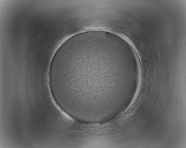 X0000062621005200512281524