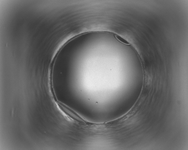 X0000062621006200512281524