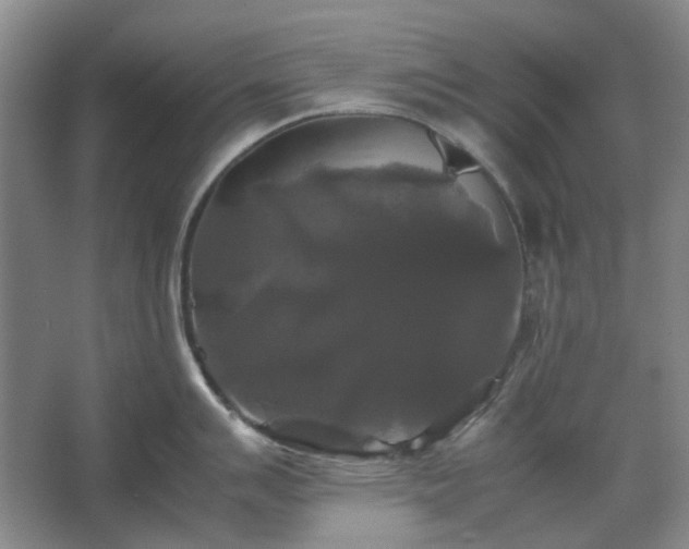 X0000062621007200512281524