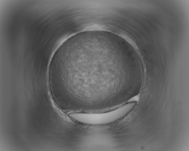 X0000062621008200512281524