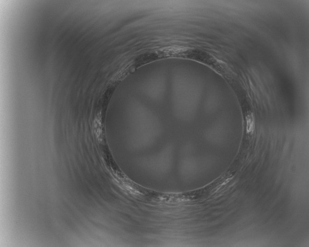 X0000062621011200512281524