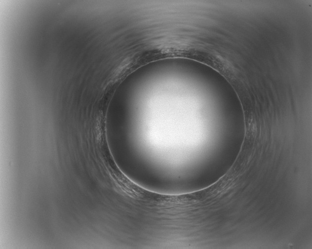 X0000062621012200512281524