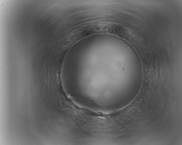 X0000062621013200512281524