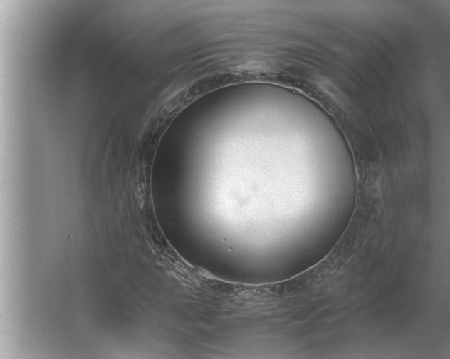 X0000062621015200512281524