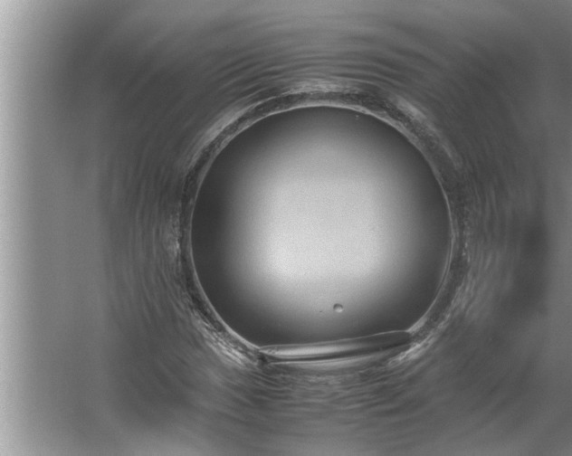 X0000062621017200512281524