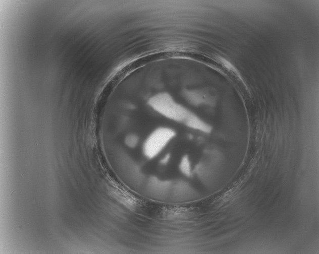 X0000062621019200512281524