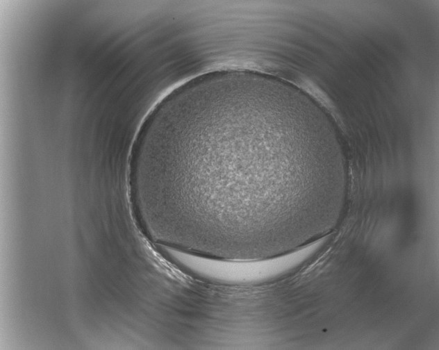 X0000062621020200512281524