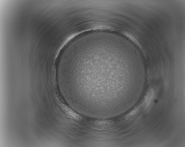 X0000062621021200512281524