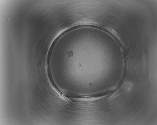 X0000062621024200512281524