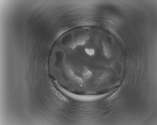 X0000062621025200512281524