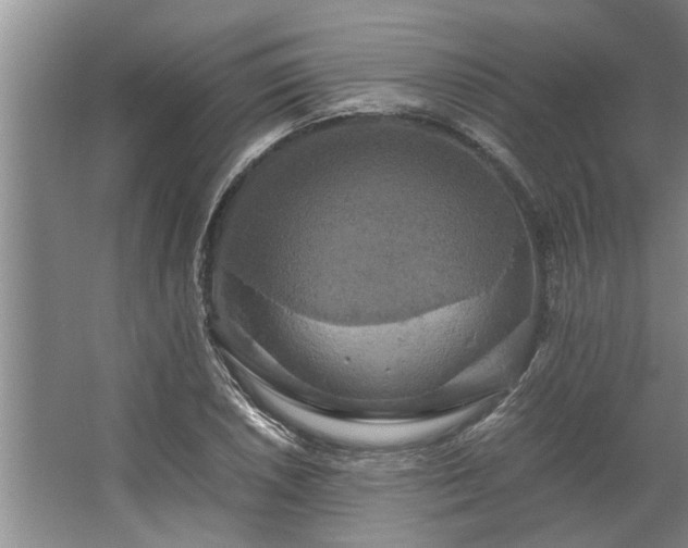 X0000062621026200512281524