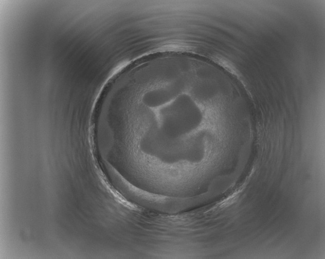 X0000062621029200512281524