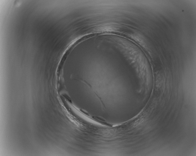 X0000062621031200512281524