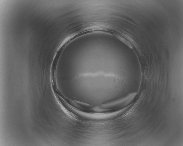 X0000062621034200512281524