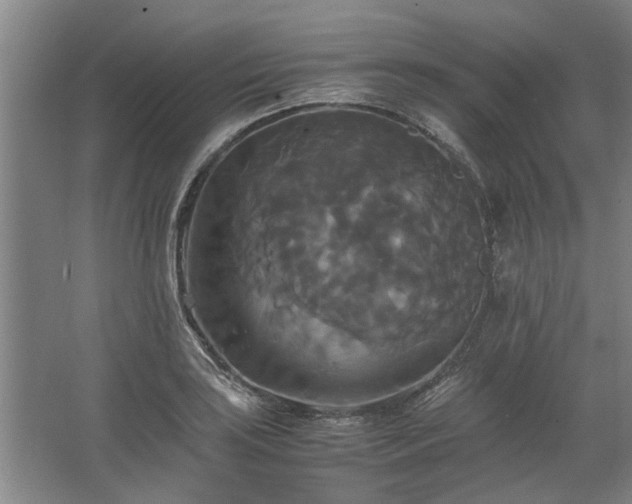 X0000062621035200512281524