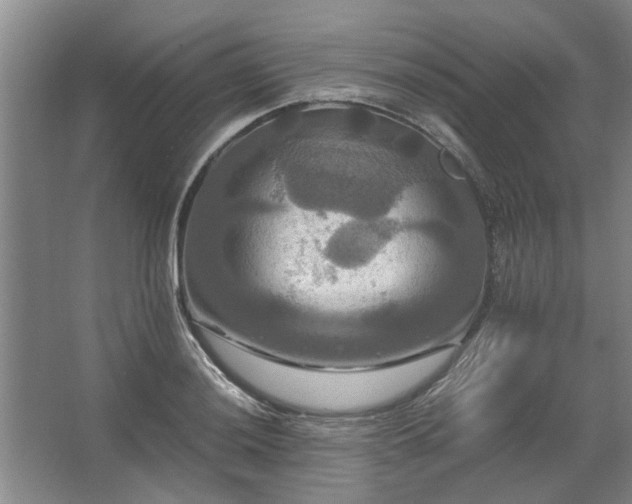 X0000062621036200512281524