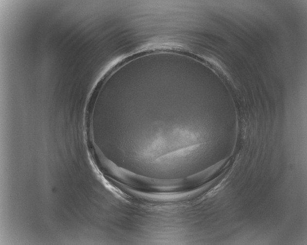 X0000062621038200512281524