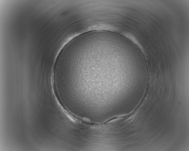 X0000062621040200512281524