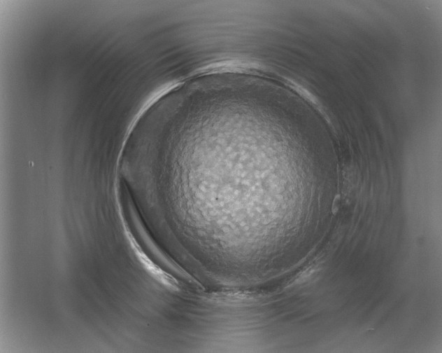 X0000062621042200512281524