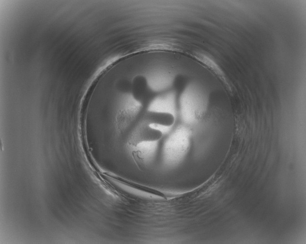 X0000062621043200512281524