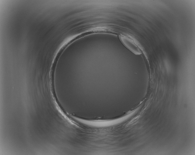 X0000062621045200512281524