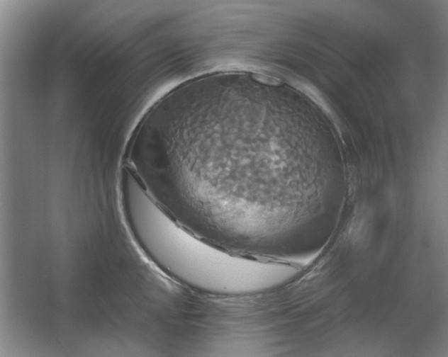 X0000062621048200512281524