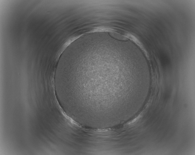 X0000062621049200512281524