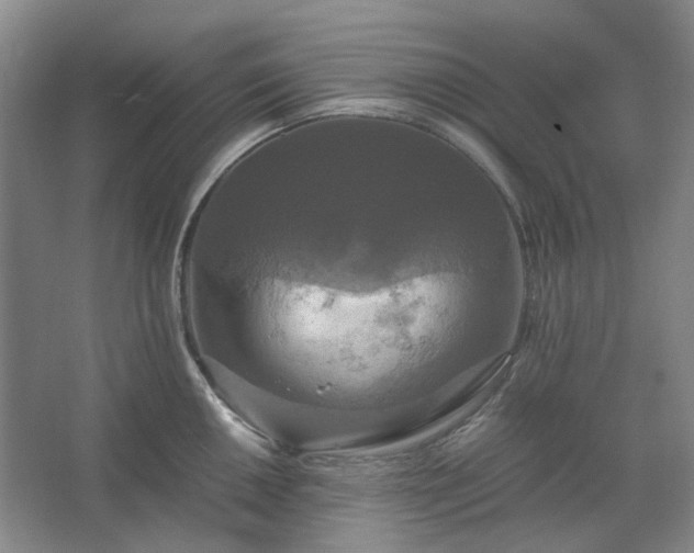 X0000062621050200512281524