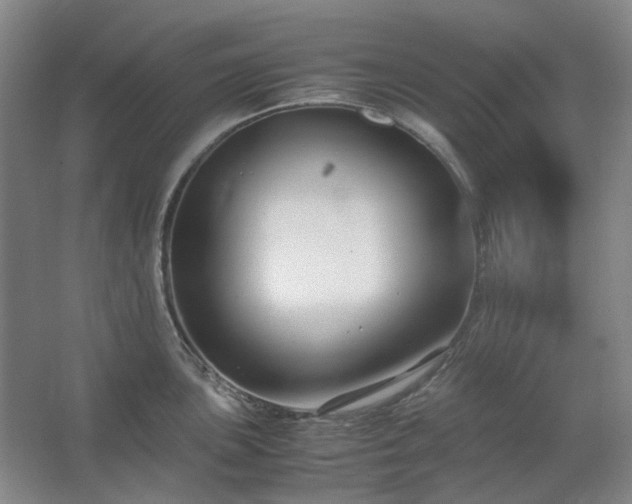 X0000062621051200512281524