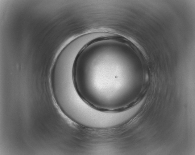 X0000062621054200512281524