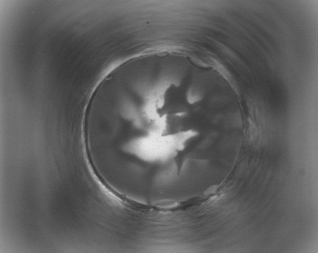 X0000062621055200512281524