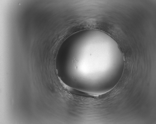 X0000062621057200512281524