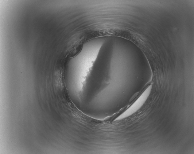 X0000062621060200512281523