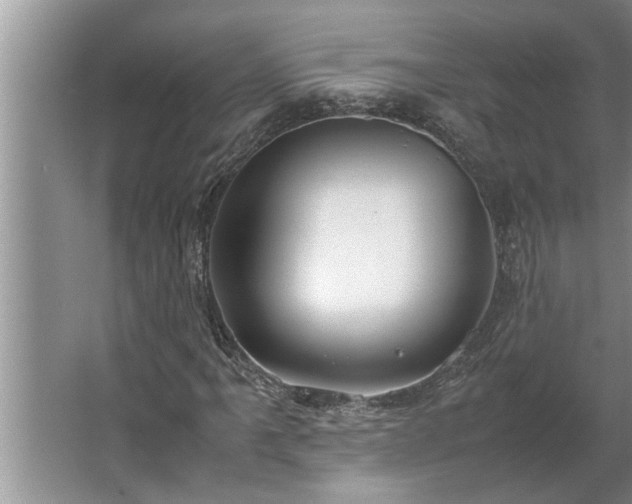 X0000062621061200512281523