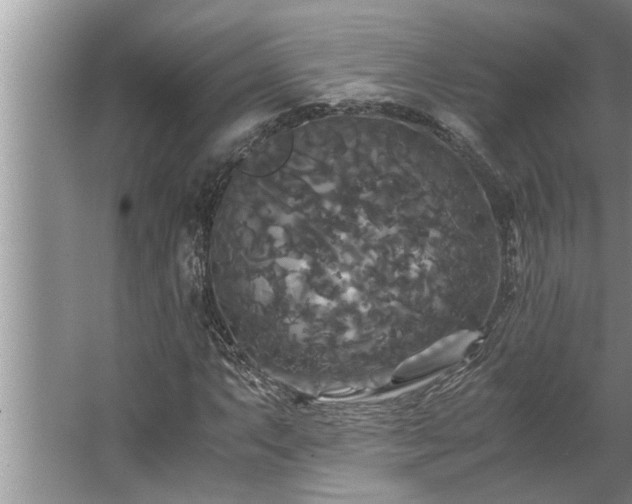 X0000062621063200512281523