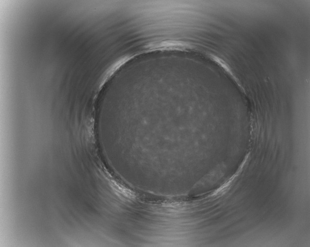 X0000062621066200512281523