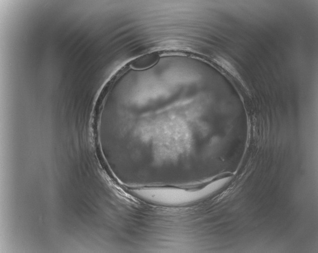 X0000062621068200512281523