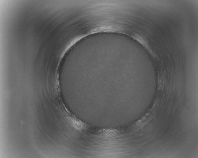 X0000062621070200512281523