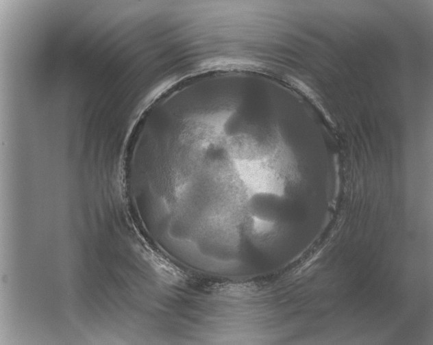 X0000062621074200512281523